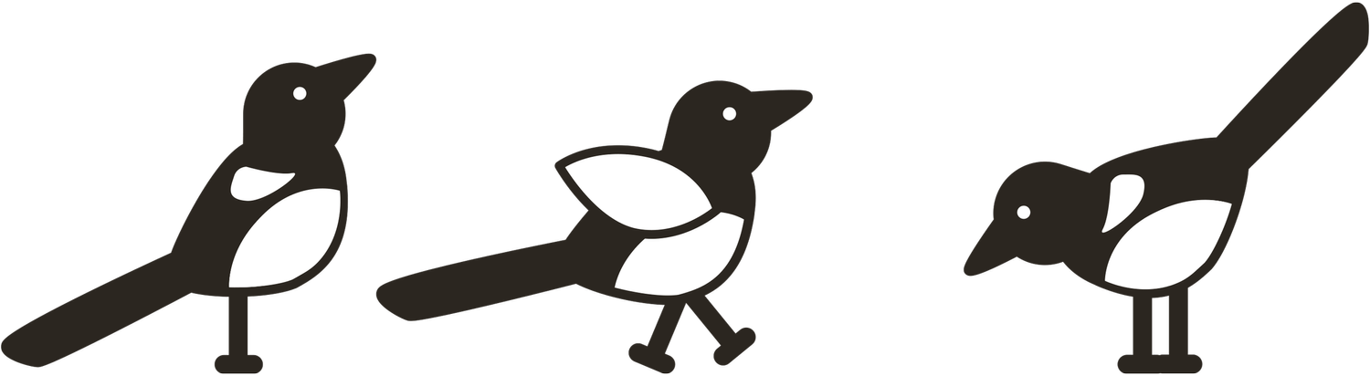 A Mischief of Magpies | Studio