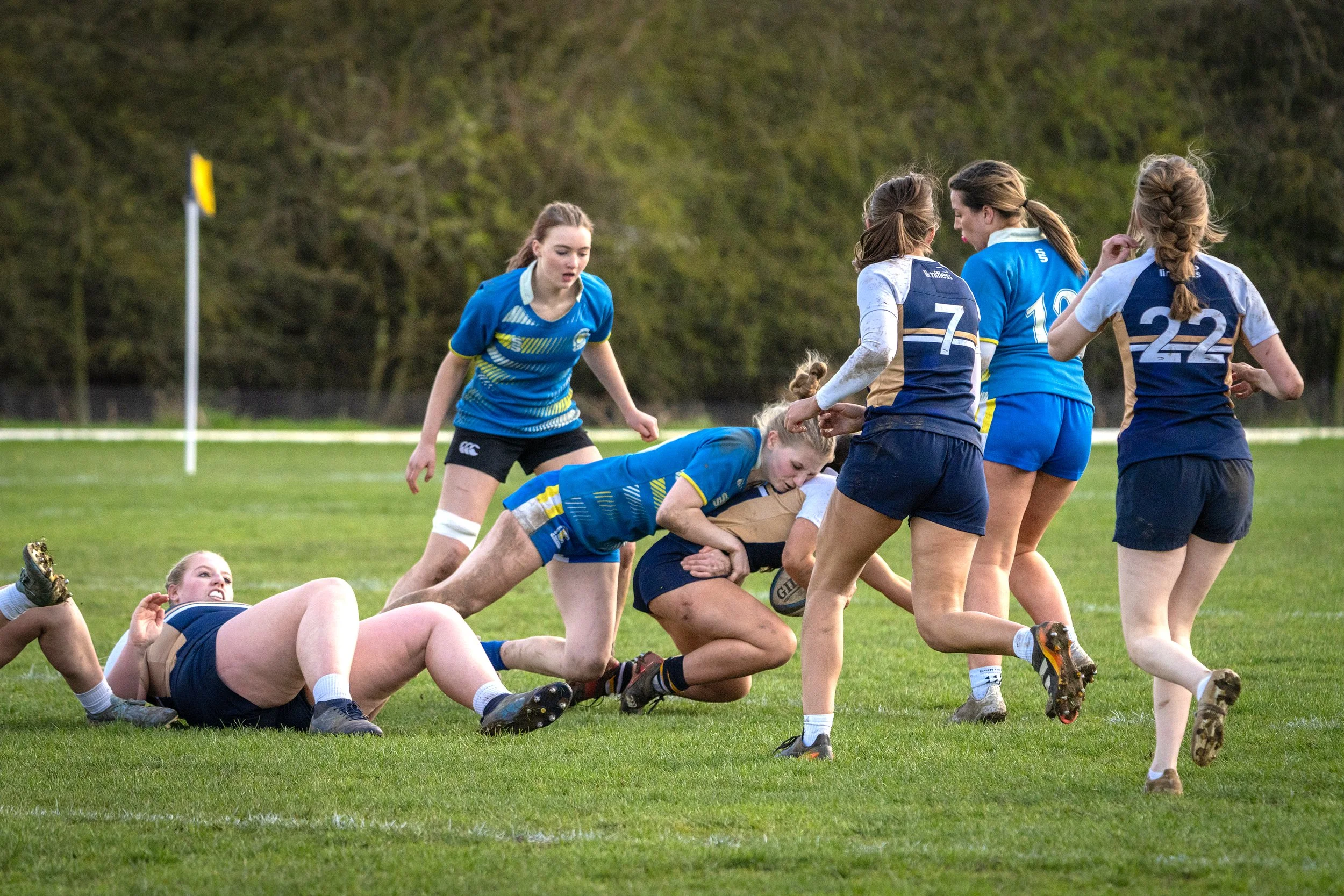 Girls playing rugby on a grassy field with trees in the background, some girls are on the ground while others are standing, trying to gain possession of a rugby ball.