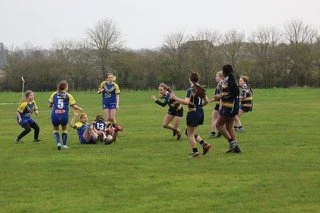 A girls' rugby game with players in blue and black uniforms on a grassy field, some tackling, running, and catching the ball while spectators watch.