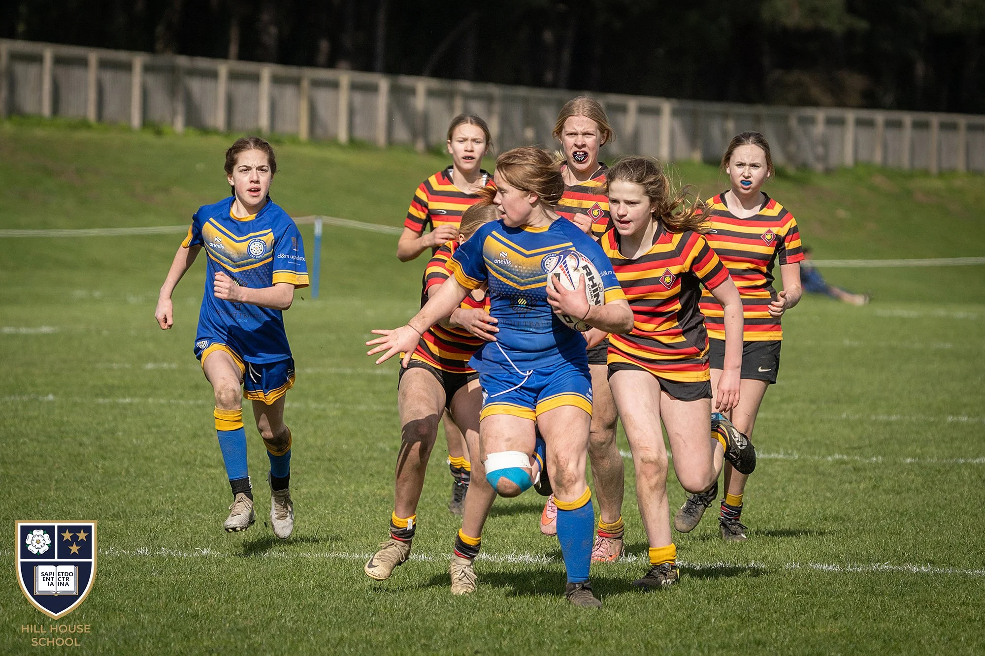 Girls playing rugby on a grassy field, some wearing blue uniforms and others wearing red and yellow striped uniforms, with a wooden fence and trees in the background.
