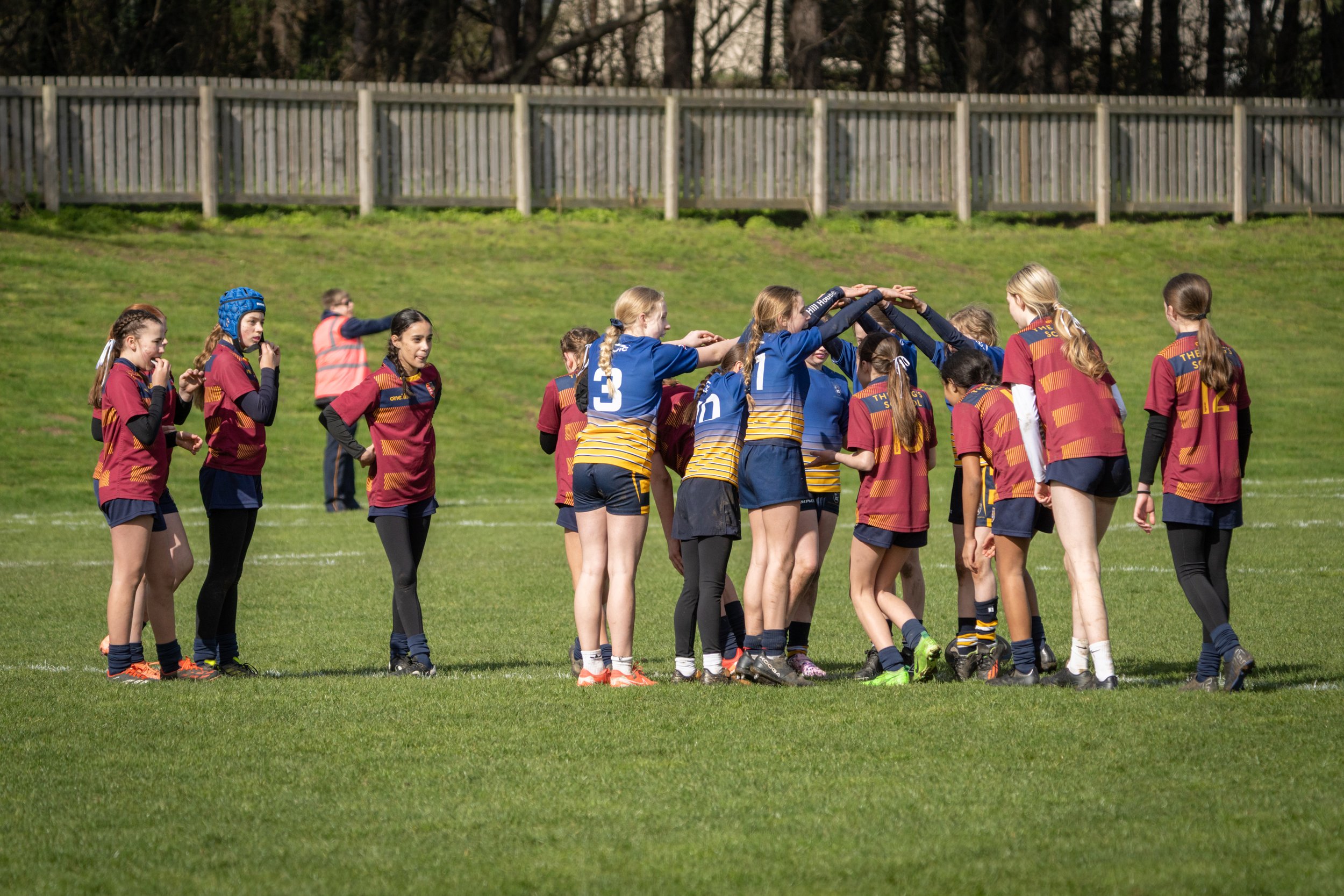 Youth girls rugby team on field during game, some players forming a huddle, wearing maroon and blue uniforms, green grass, wooden fence in background.