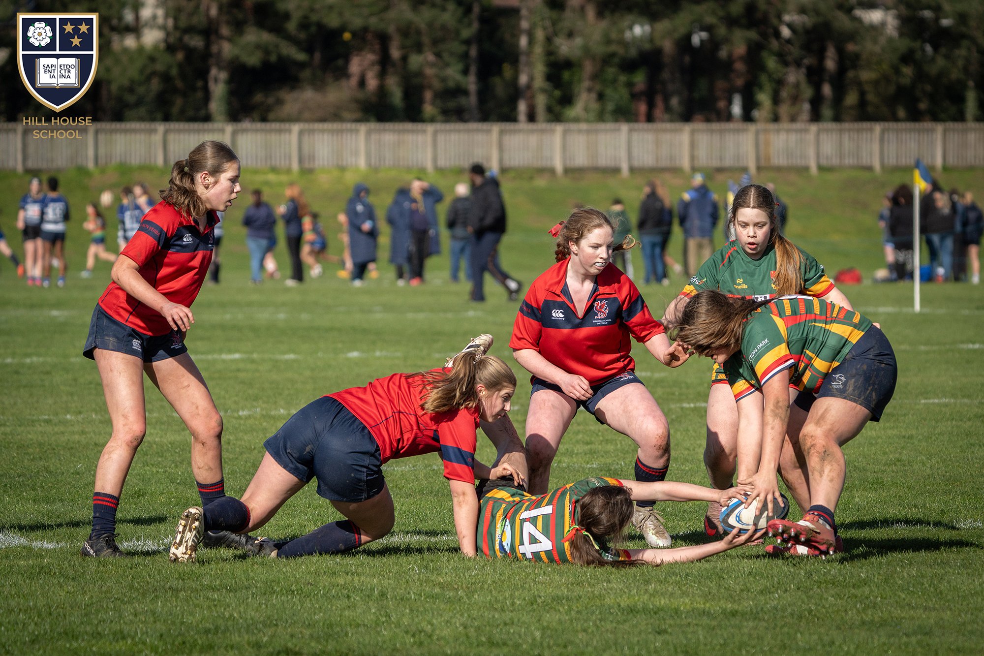 Girls rugby game on a grassy field with players in red and green jerseys, some crouching or reaching for the ball, and a wooden fence with trees in the background.