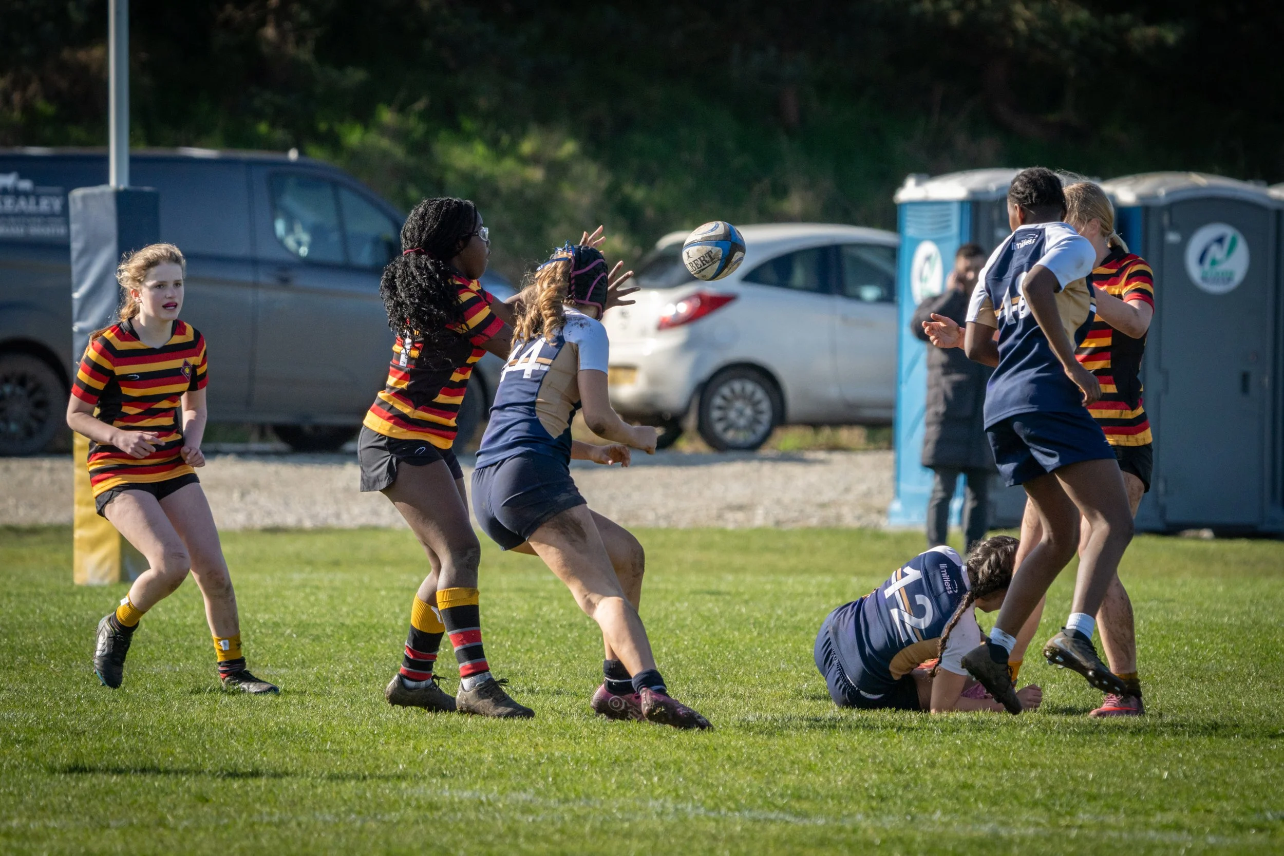 Young girls playing rugby on a grassy field, with some wearing team uniforms featuring red, black, yellow, and navy colors. Several players are engaged in a game, one reaching for a rugby ball, with cars and portable toilets in the background.