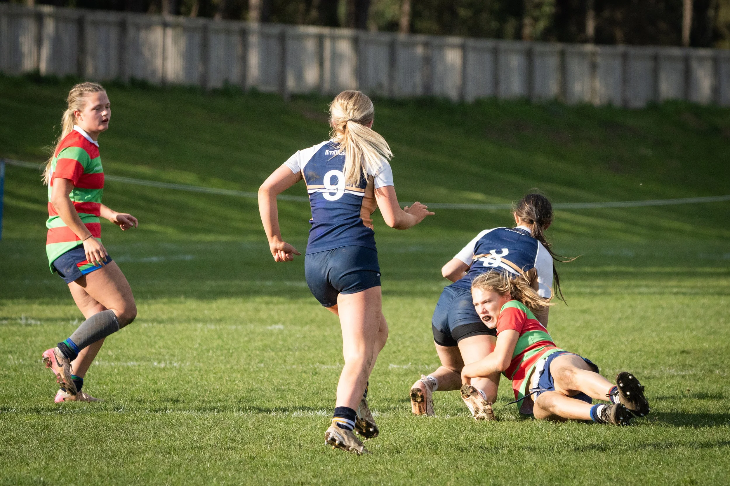 Girls playing rugby on a grassy field, some standing while others are on the ground, with a wooden fence in the background.