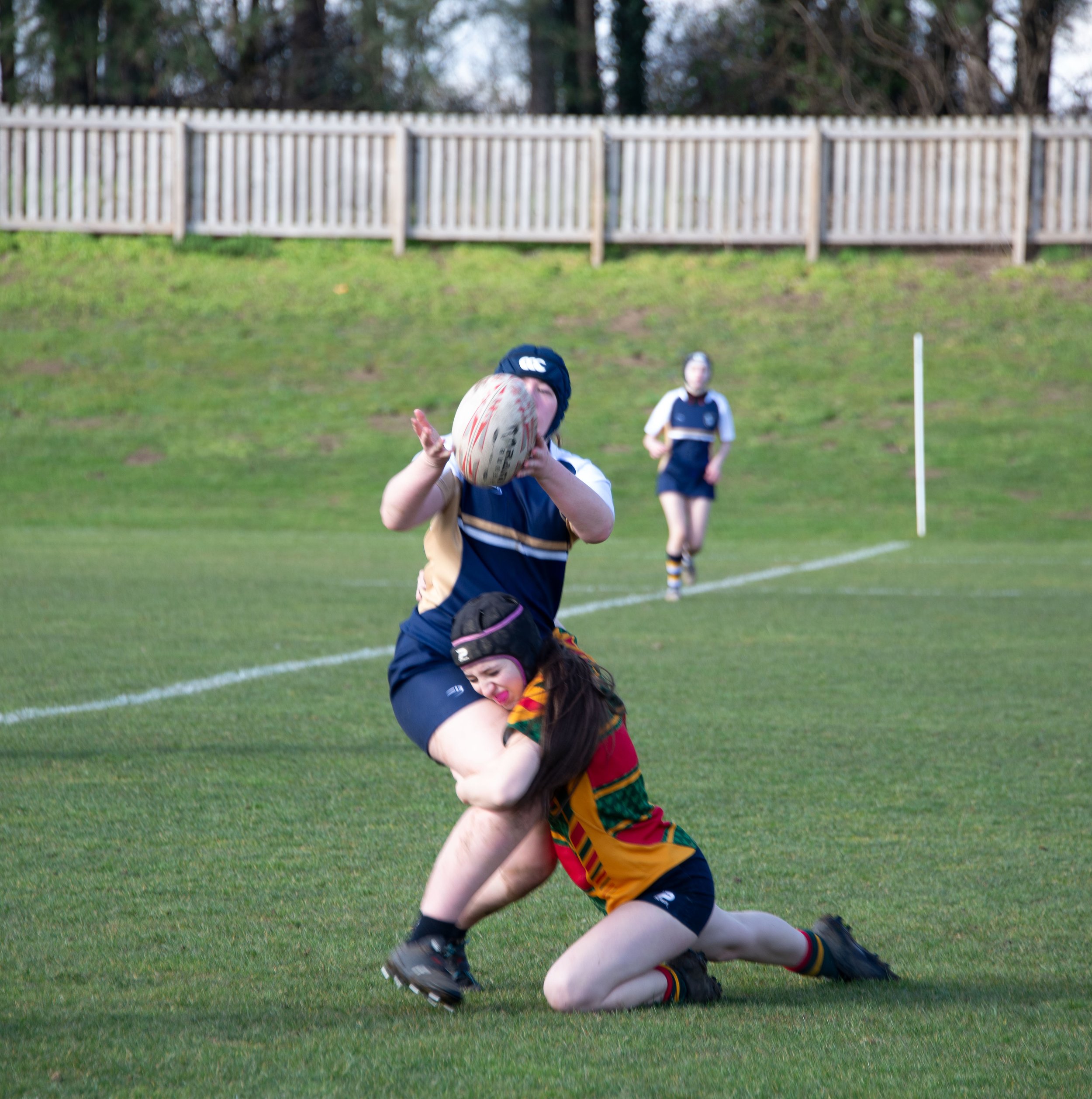 Young rugby players in native team uniforms are on the field, with one player in black and yellow tackling another in a dark blue and white jersey, while a third player in a similar uniform runs in the background.