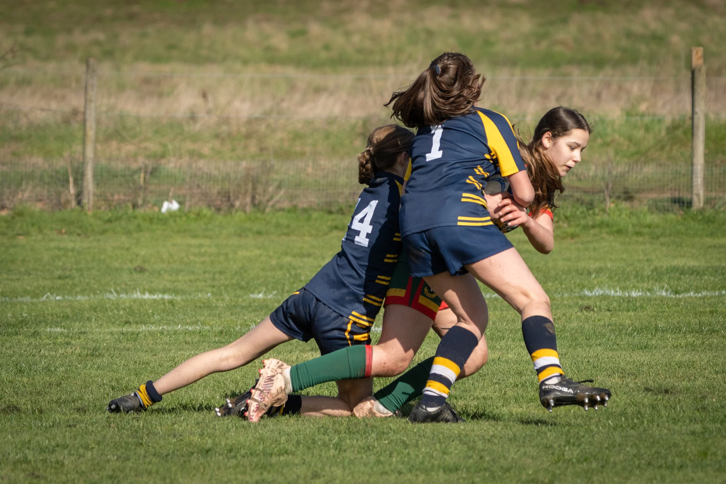 Young girls playing rugby on a grassy field, with one girl in a blue jersey marked '1' and another in a green jersey, engaging in a tackle during a match.