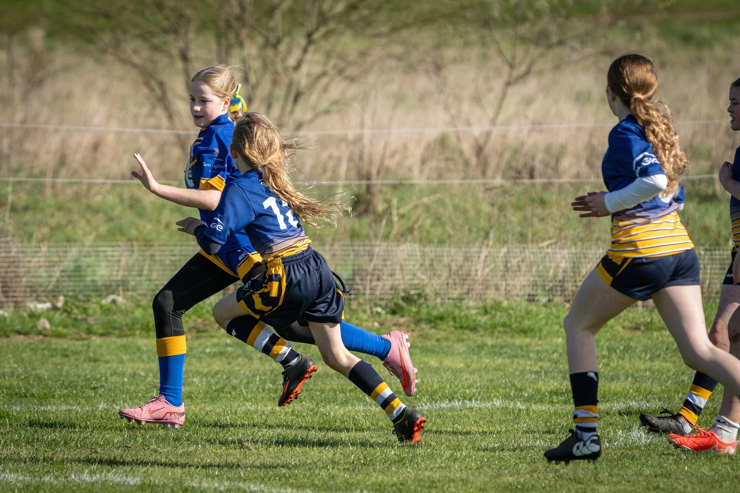A group of young girls playing rugby on a grassy field, wearing blue jerseys with yellow and black striped shorts and socks, with trees in the background.