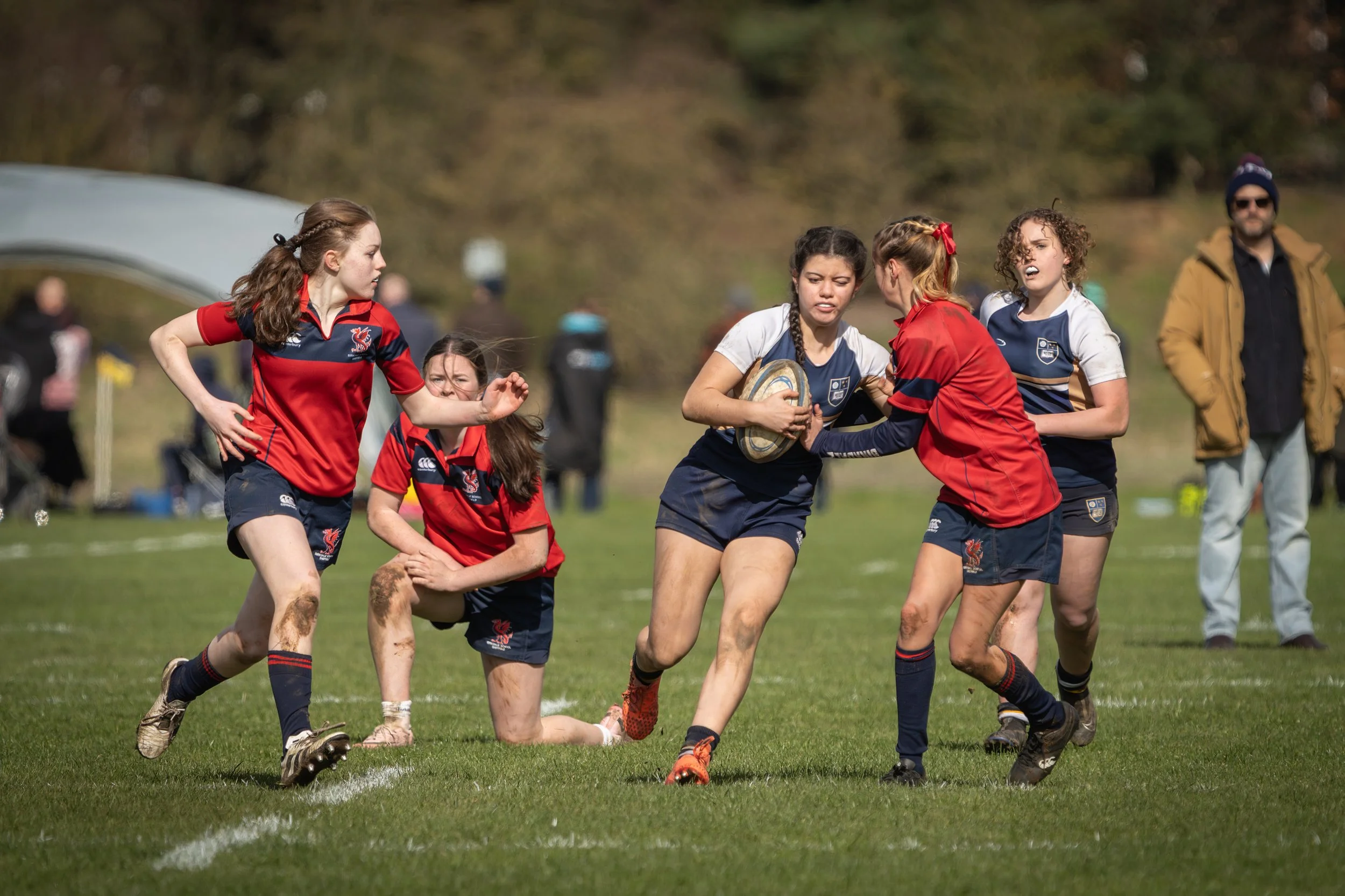 A group of young girls playing rugby on a grassy field during the daytime, wearing team uniforms in red, blue, and white. Some girls are competing for the ball while others are running or watching attentively. A few spectators and a man in a brown ja