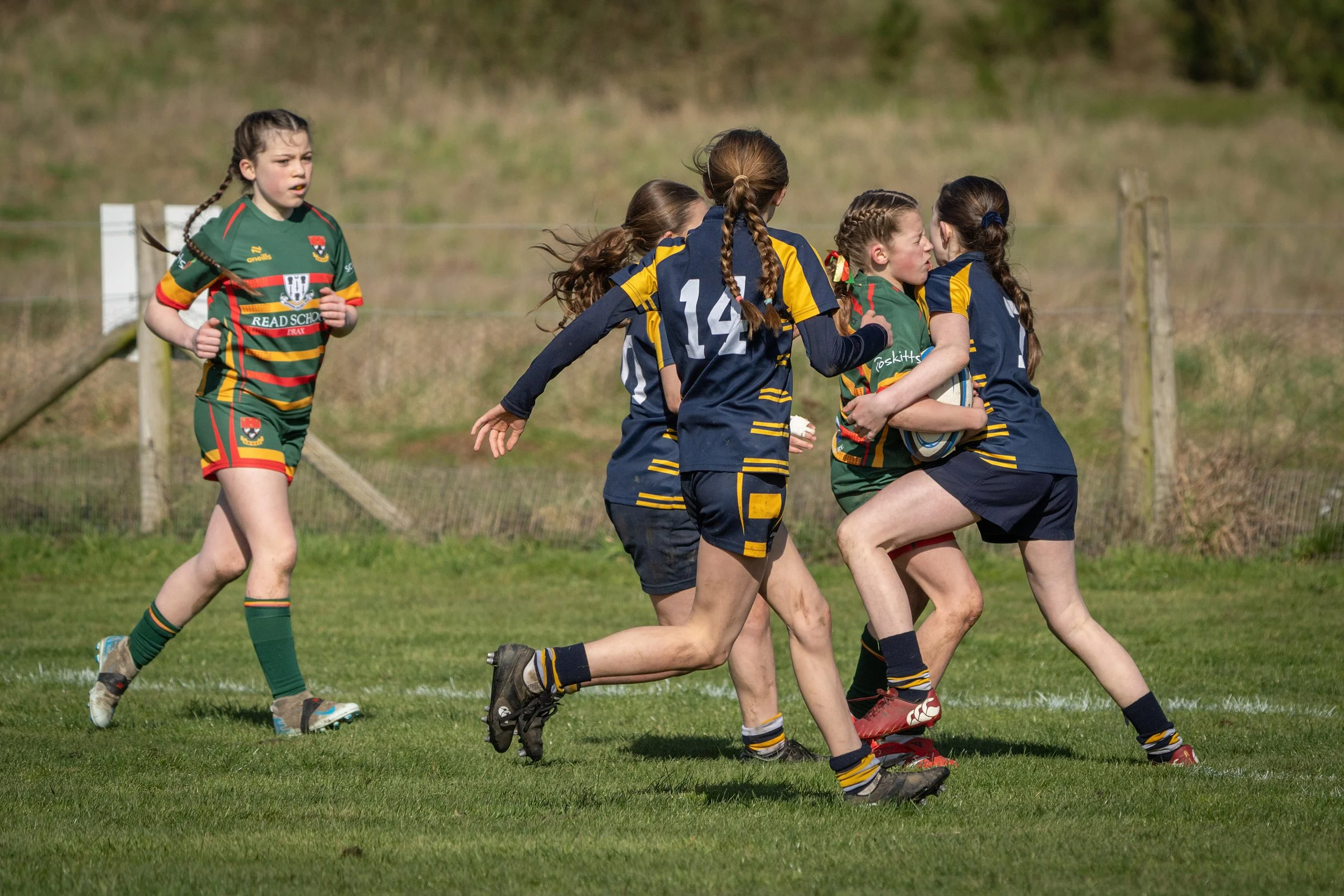 Young girls playing rugby on a grassy field, some in green uniforms and others in navy blue with yellow accents, with a fence and grassy hill in the background.