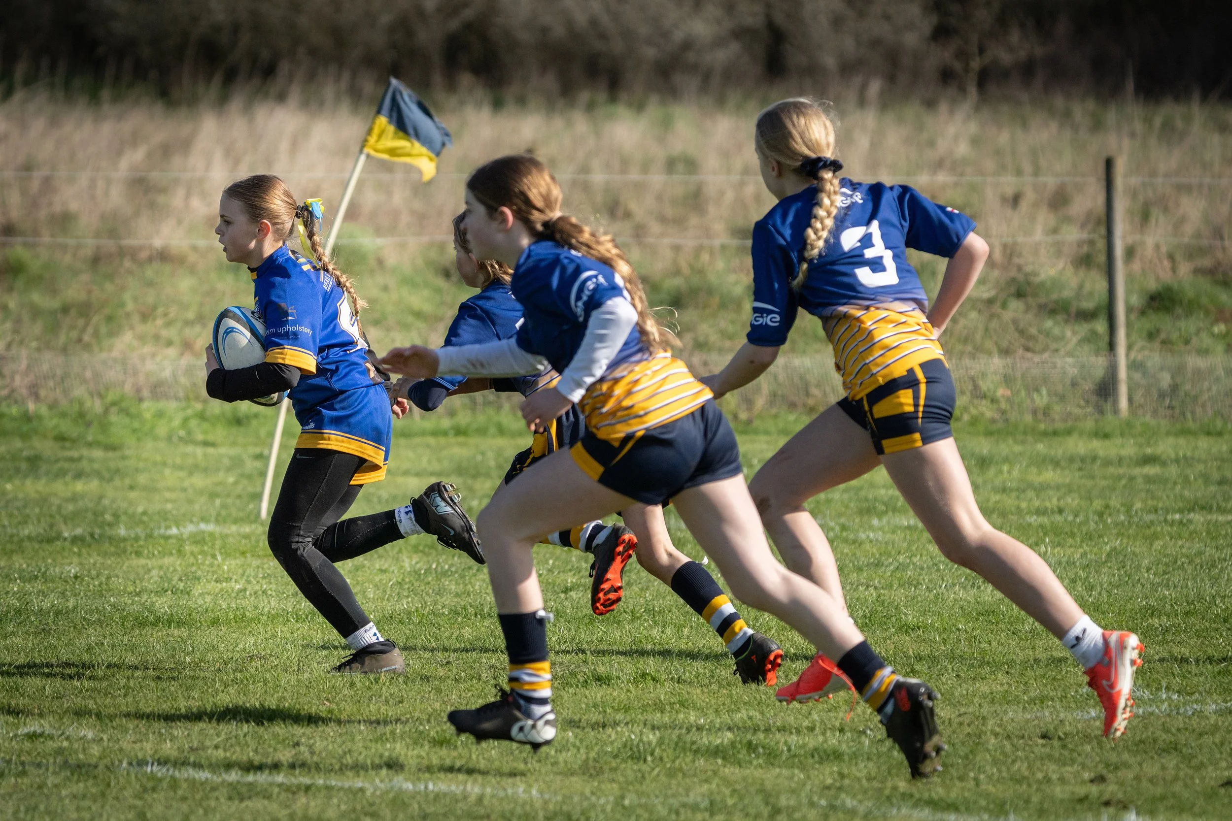 Girls playing rugby on a grassy field, some wearing blue jerseys with yellow stripes, one carrying a rugby ball, and a flag in the background.