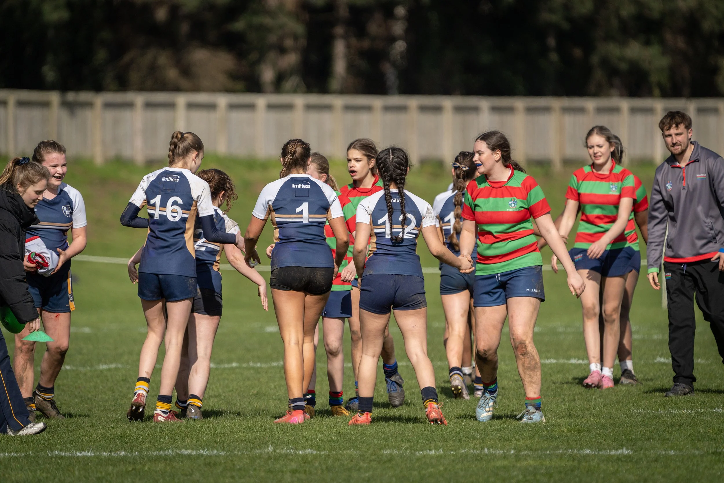 Women rugby players in blue and green and red striped jerseys, holding hands after a game on a grassy field.