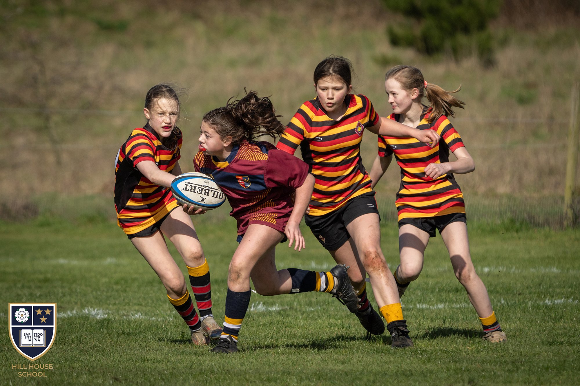 Four young girls playing rugby on a grassy field. They are wearing yellow, red, and black striped uniforms. One girl is holding a rugby ball while others are chasing her. The background is outdoor with grass and trees.