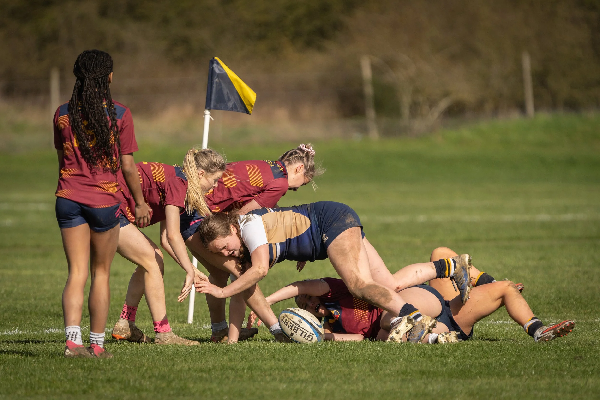 Women playing rugby on a field with players forming a scrum, wearing maroon uniforms with yellow and blue accents, and a blurred background of trees.