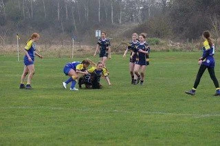 Girls' rugby match with players tackling and cheering on a grassy field