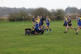 Youth rugby match with players in blue and black jerseys on a grassy field, some tackling and running.