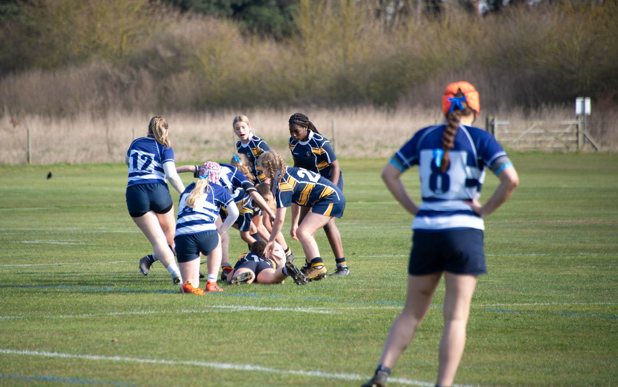 A group of young girls playing rugby on a grassy field, wearing blue and yellow uniforms, with some girls on the ground and others standing and watching.