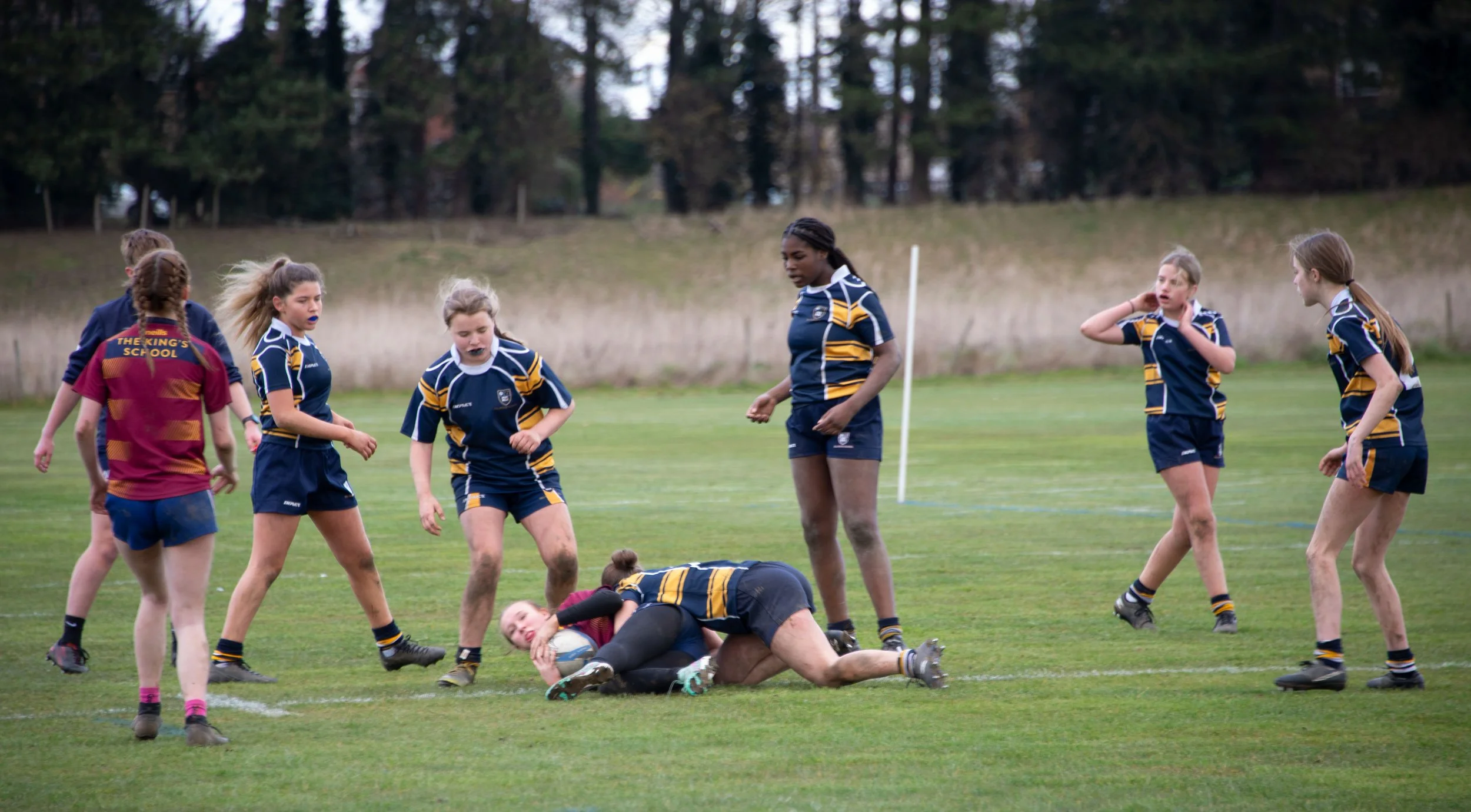 A group of young female rugby players in blue and yellow uniforms are on a grassy field, with one player on the ground holding the ball, while others stand around her, some with expressions of concern or alertness, and a few with hands on their heads