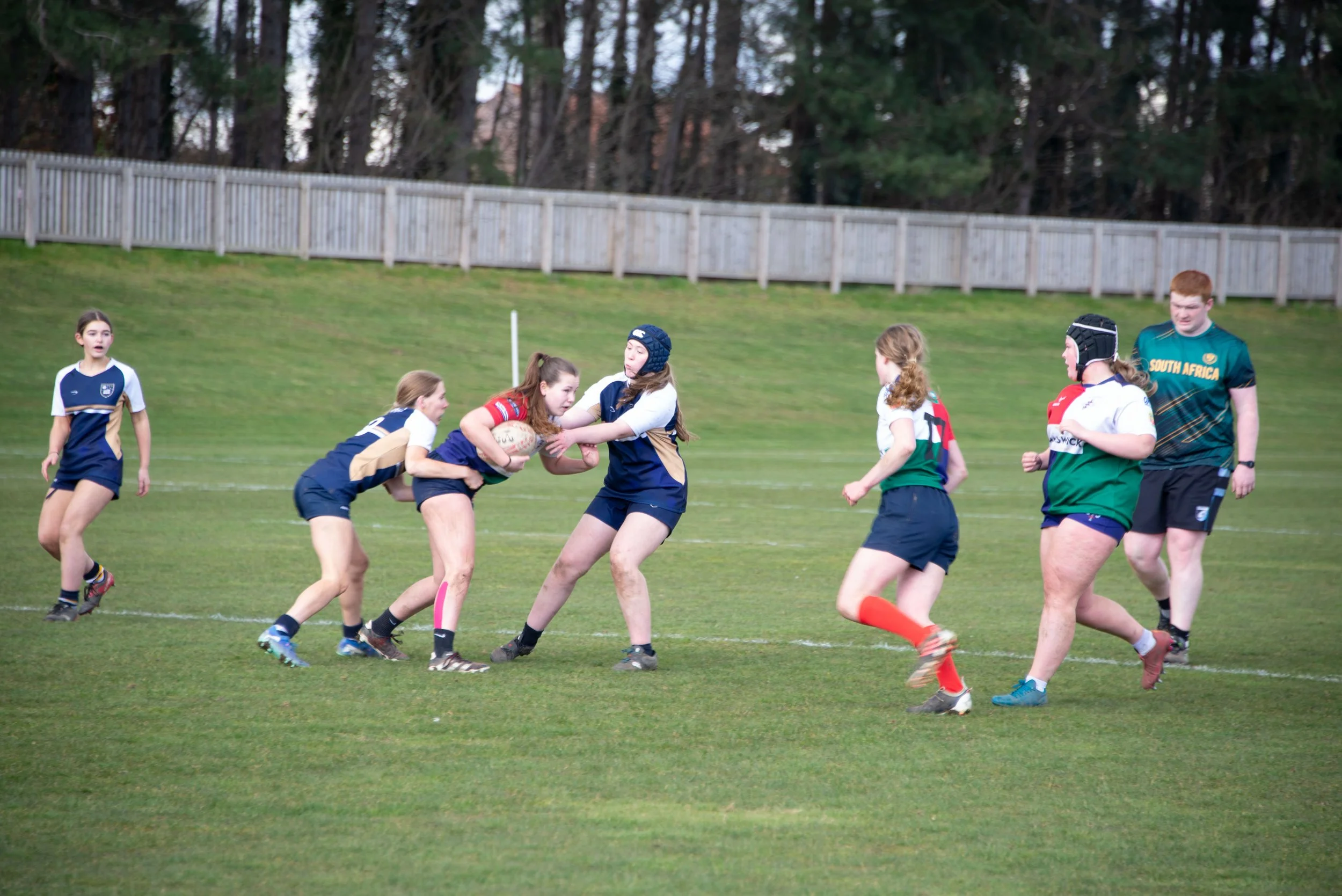 Girls playing rugby on a grassy field with a wooden fence and trees in the background.