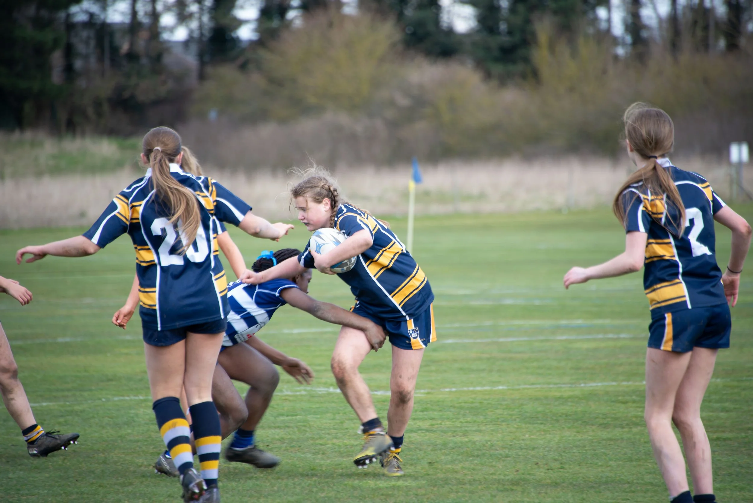 Girls playing rugby on a grassy field, with some girls in blue and yellow sports uniforms, holding a rugby ball and engaging in a game.