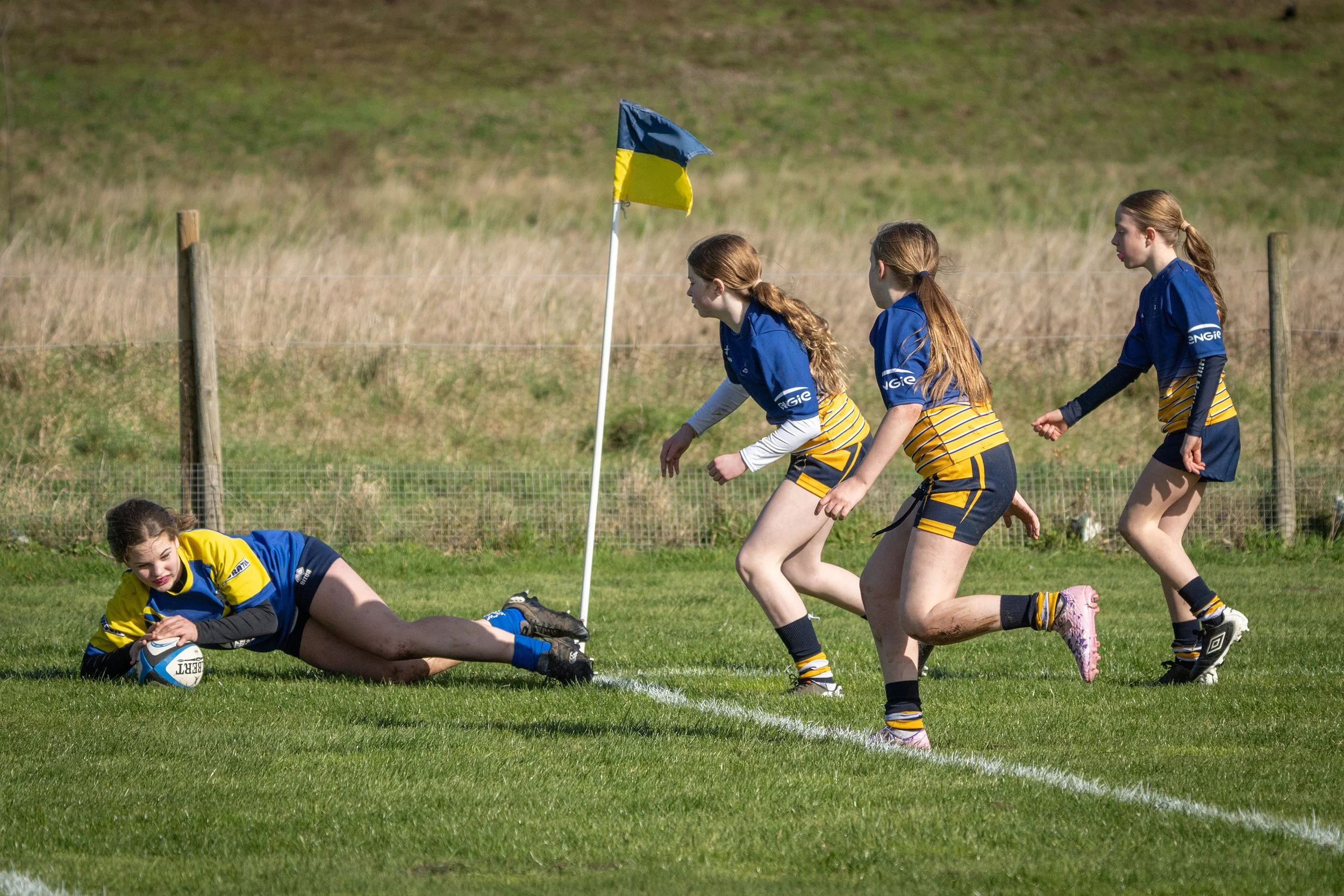 Girls in blue and black sports uniforms playing rugby on a grassy field. One girl has fallen and is holding a rugby ball, while three others run nearby. A blue and yellow flag is visible near a fence in the background.