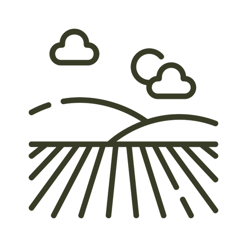 Simple line drawing of a landscape with a field, two hills, and two clouds in the sky.