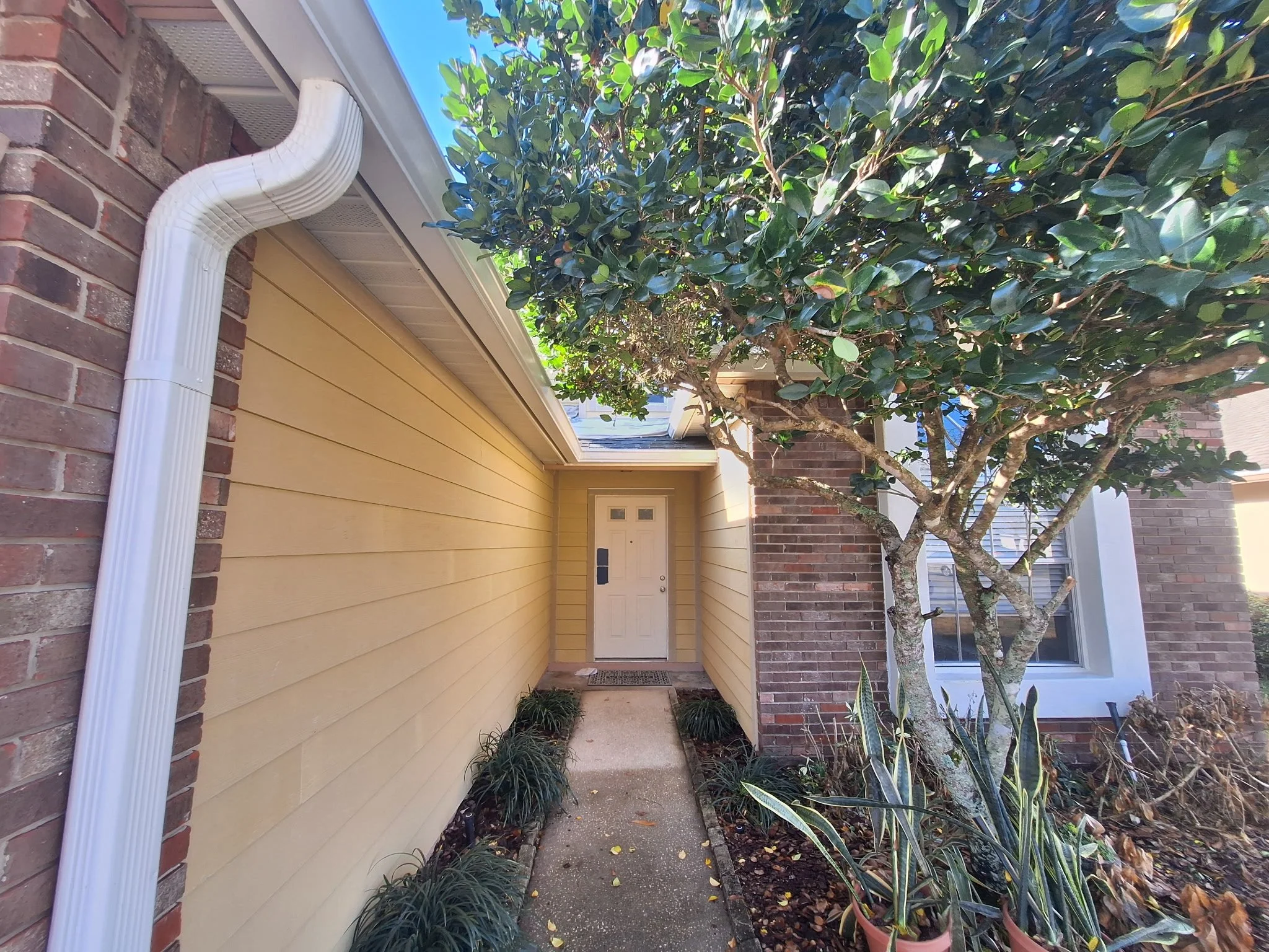 Yellow siding and original exterior before repainting in Oviedo Florida