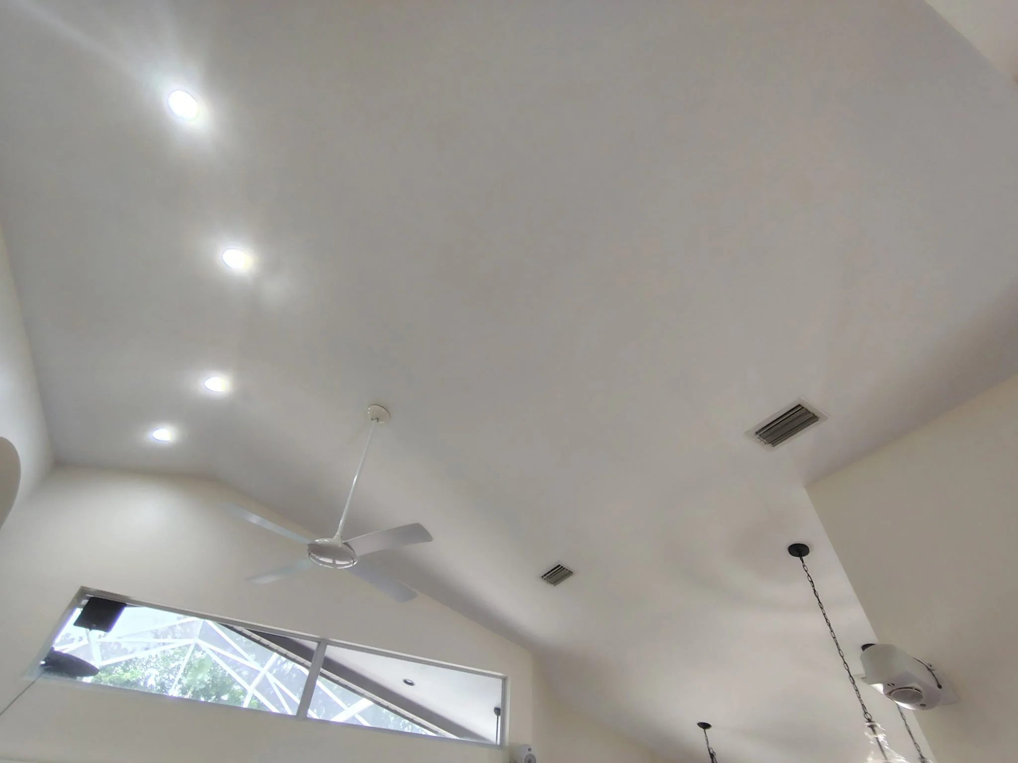Ceiling Painting Detail