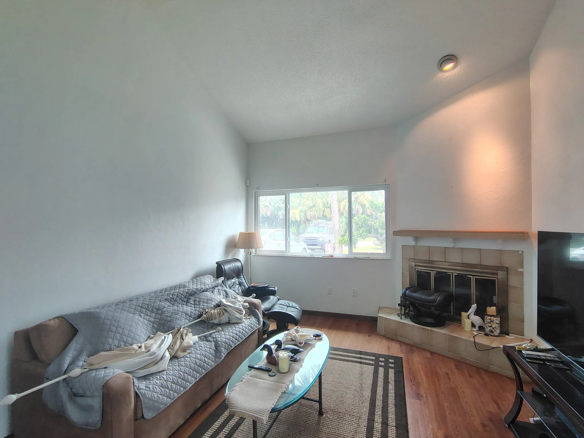 Living Room &amp; Fireplace