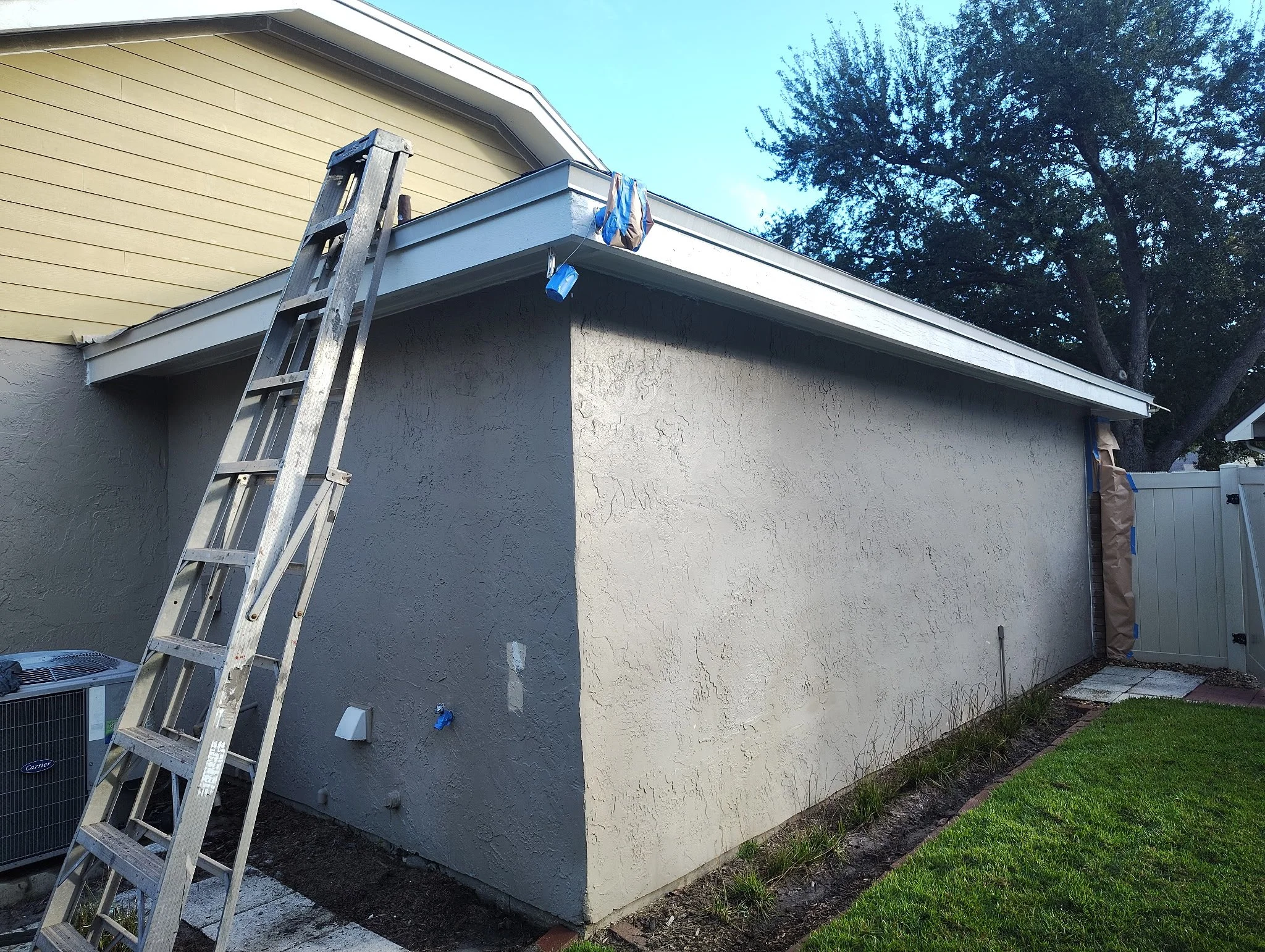 Rear side entrance and landscaped yard