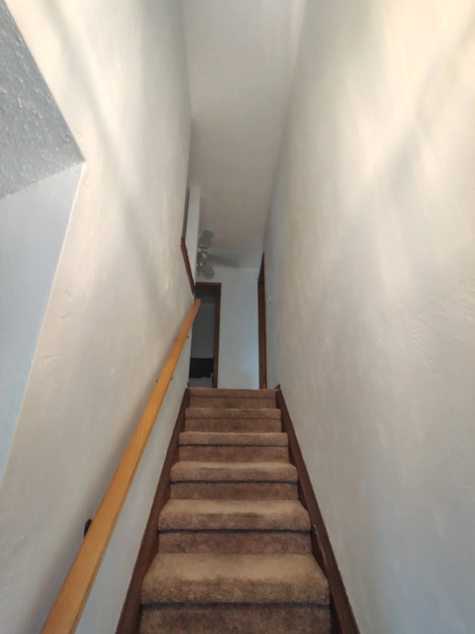 Fresh walls help this tight hallway feel brighter, while the warm wood door remains the natural focal point.