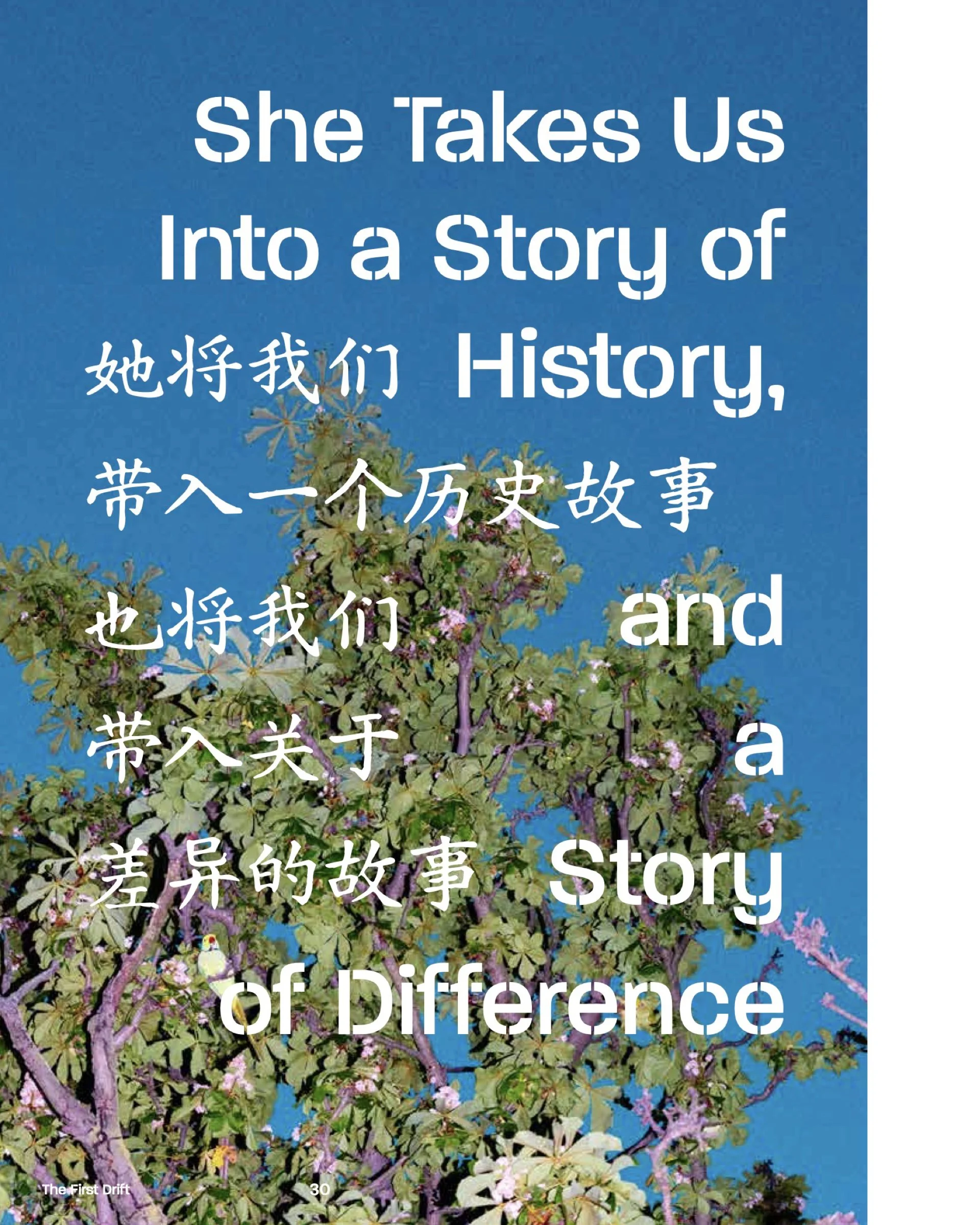 网站图片22.007.jpeg