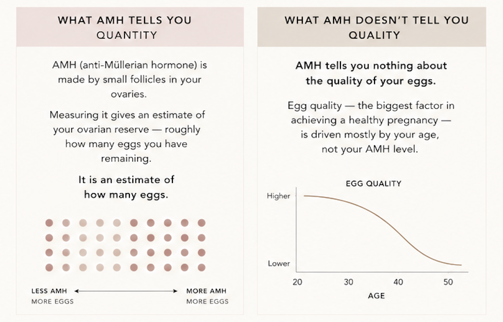 AMH Quality Vs Quantity