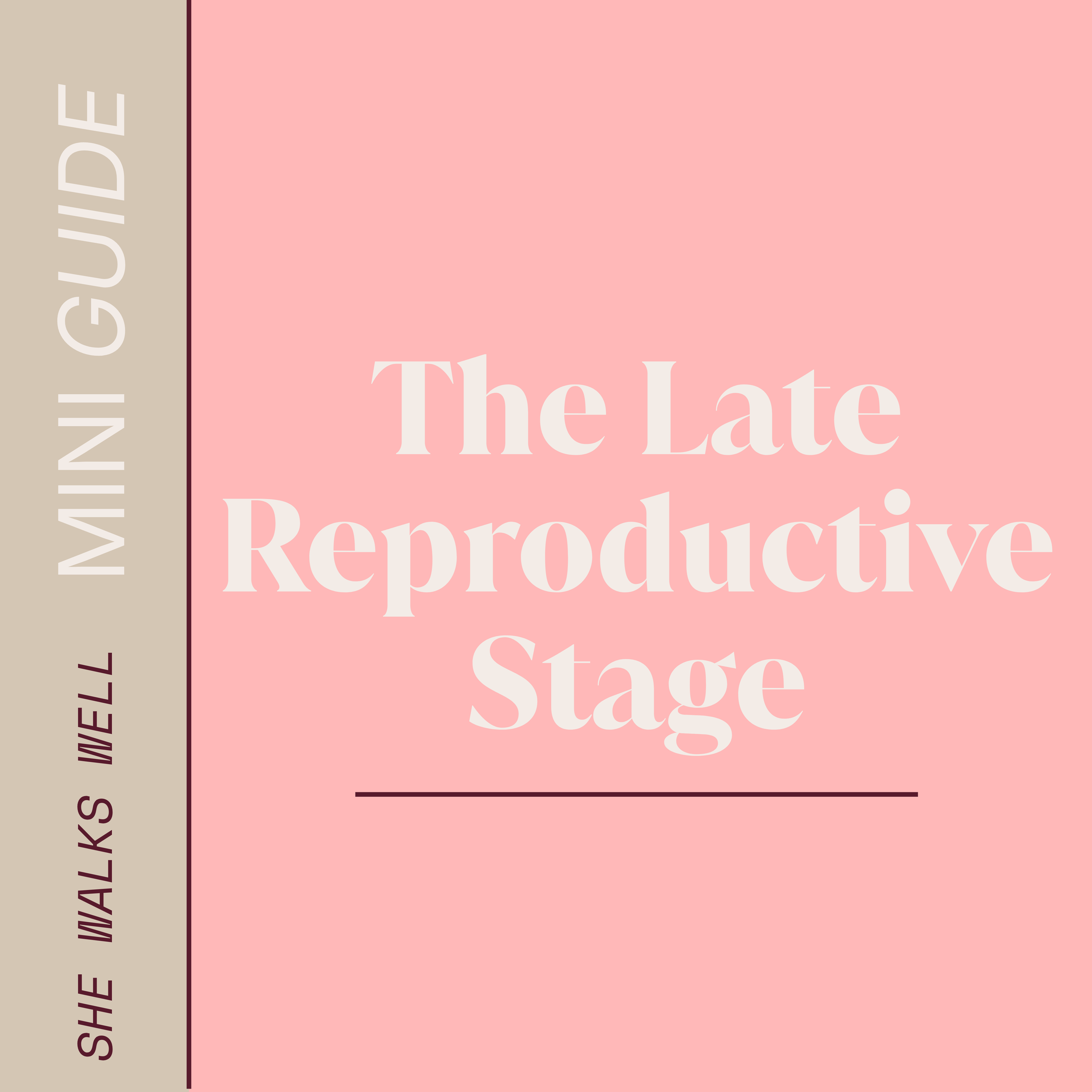 For all the women who feel something has shifted, even though their cycle is still as regular as ever. You're not imagining it, and while it might not be true perimenopause yet, something is still going on and its worth a discussion. Read our Mini Gu