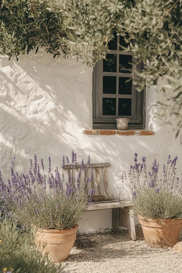 Façade blanche d'une maison avec fenêtre en bois et pot de fleurs vide sur la fenêtre, deux grands pots de lavande en terre cuite devant, banc en bois rustique et buissons d'arbustes verts au-dessus.