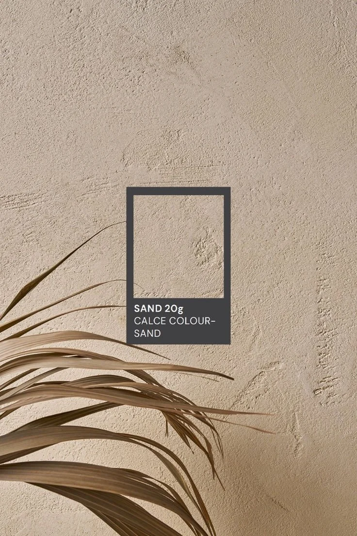 Texture de mur couleur sable avec une plante sèche en bas à gauche et une étiquette indiquant la couleur "SAND" et "CALCE COLOUR-SAND".