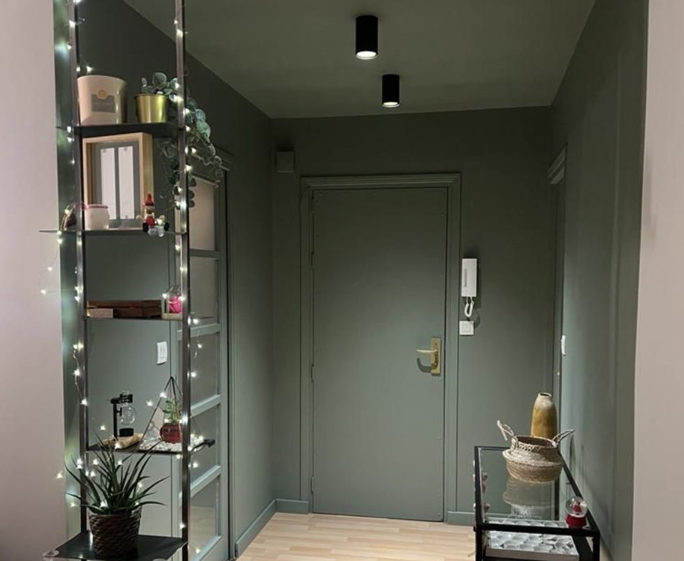  ✽  Caluire - Rénovation de l'entrée d'un appartement