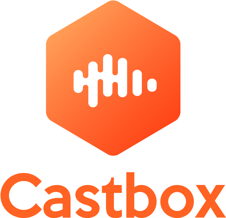 Logo with a white soundwave icon inside an orange hexagon and the word 'audio' written below in orange text.