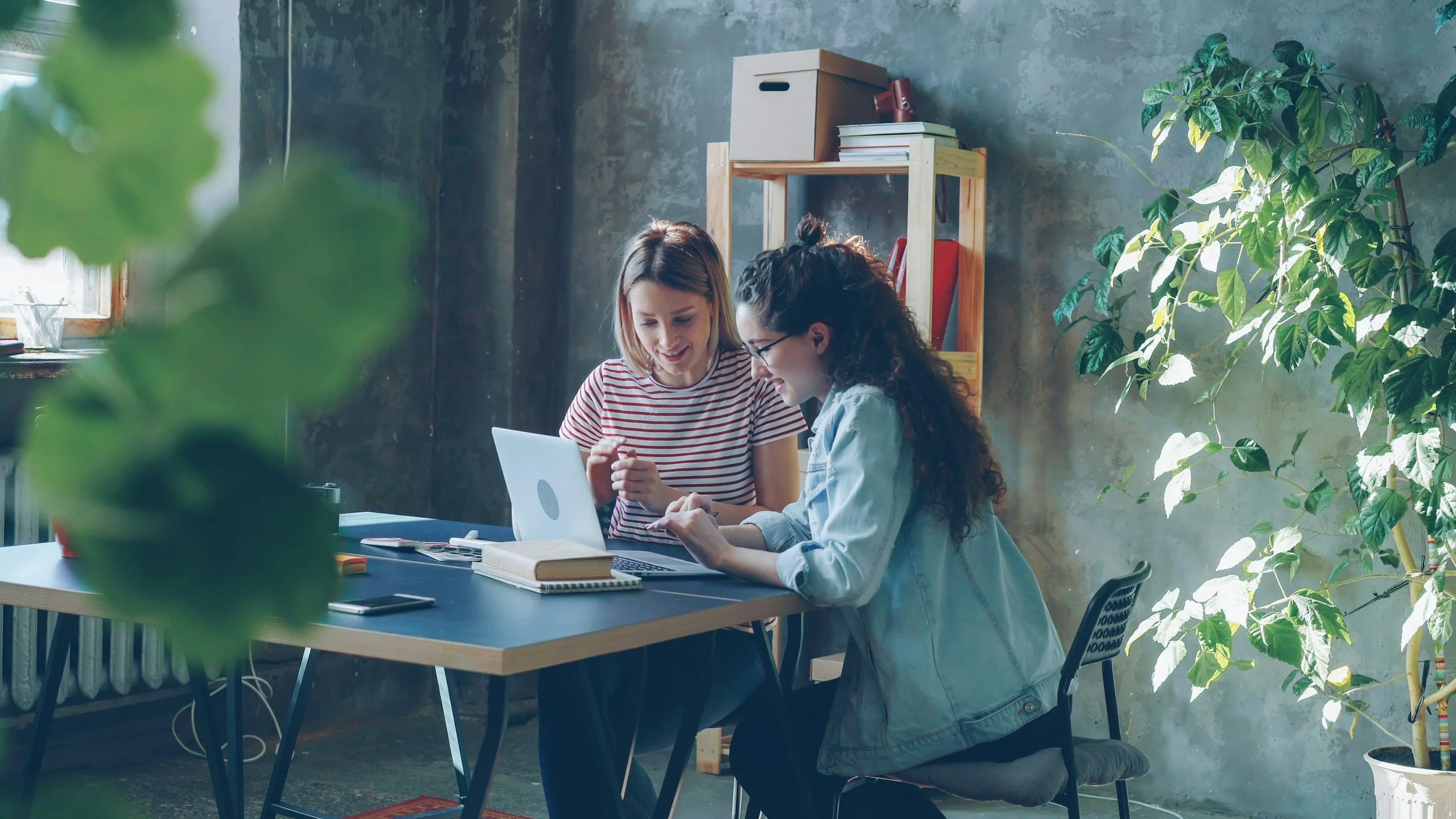 Two young women sitting at a table, working together on a laptop in a cozy, modern office with plants and books. A small business able to thrive with HR support from GrowBright HR South Wales