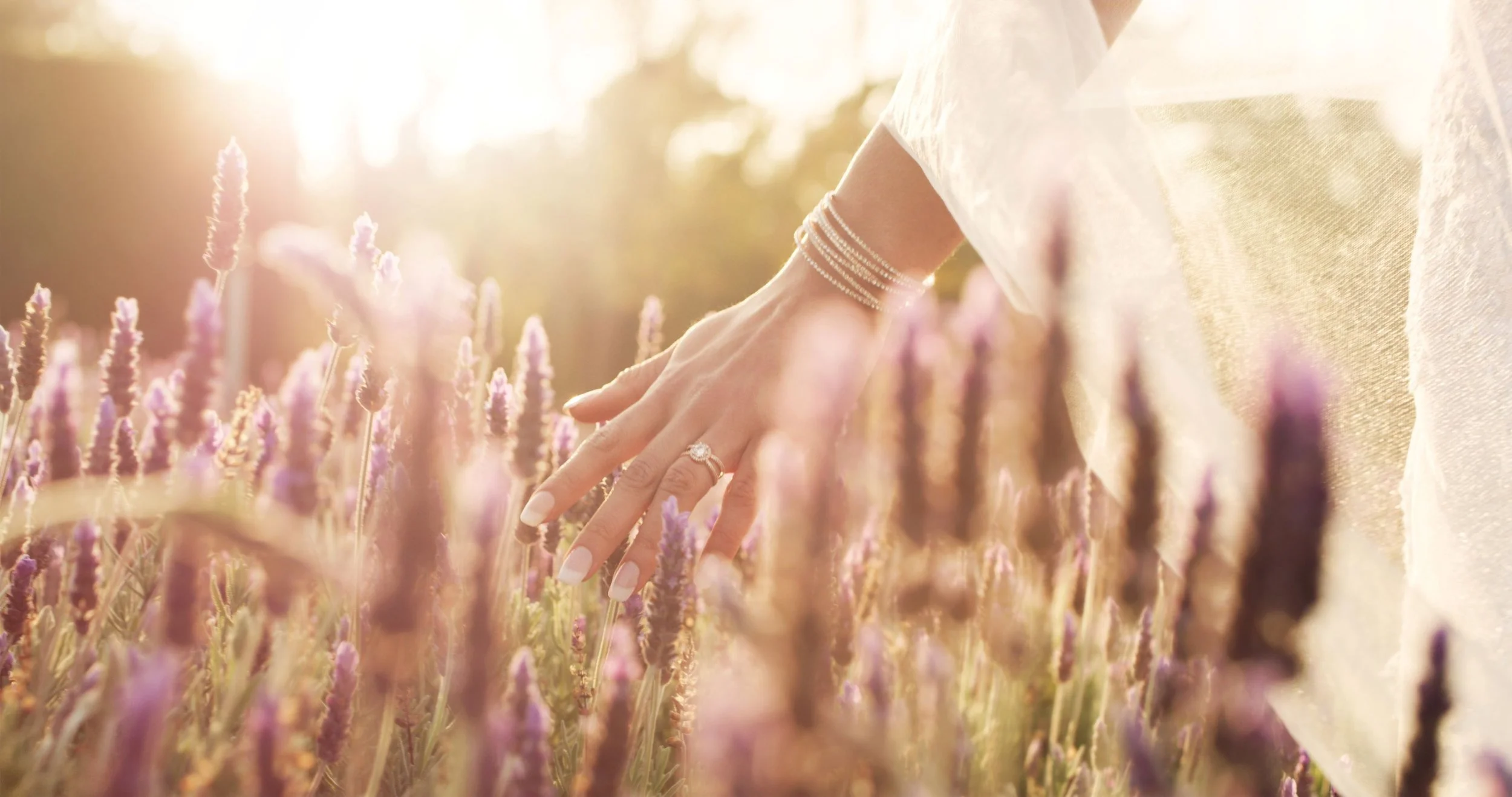 woman walking through a lavender field.jpg