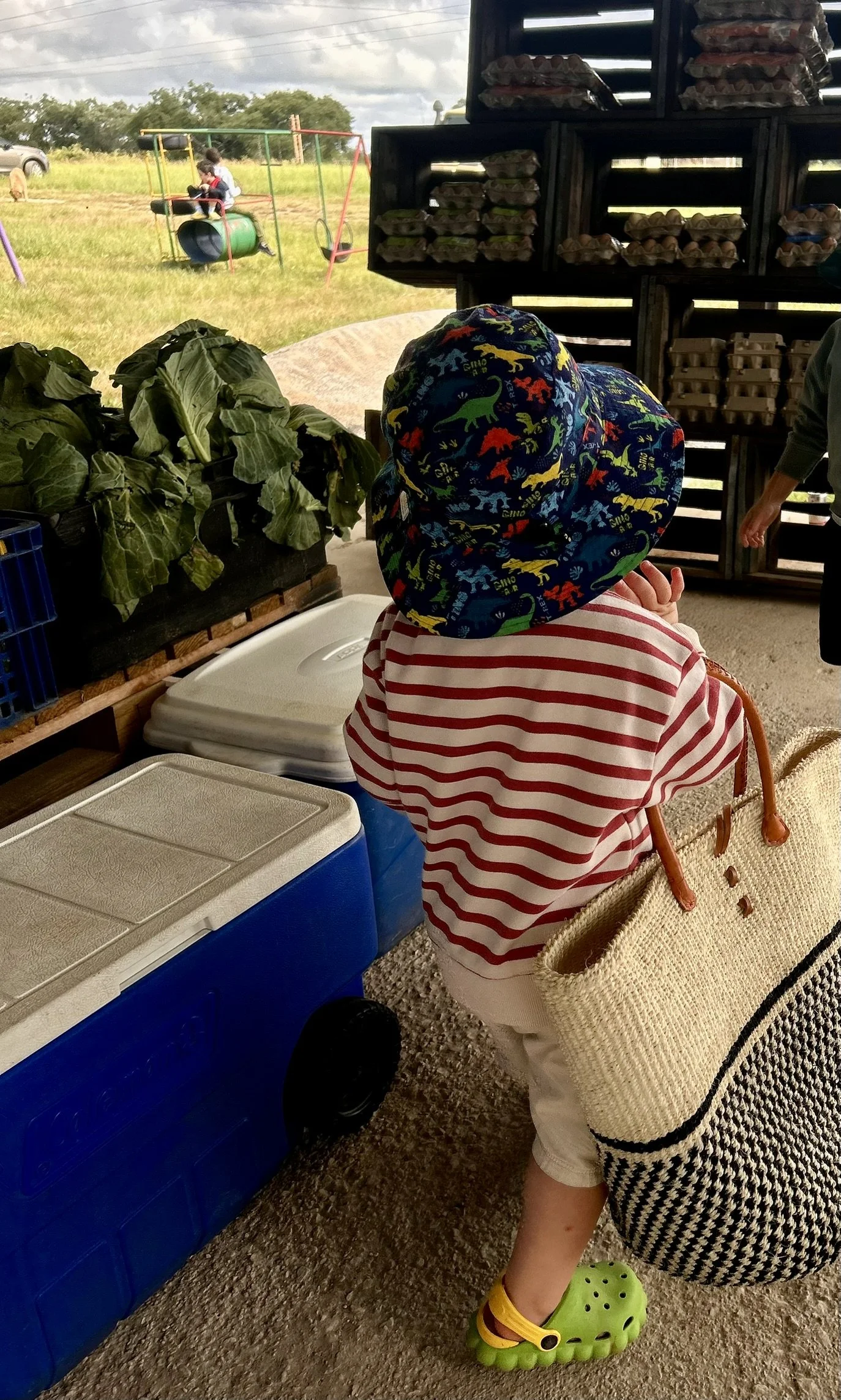 More Than Fresh Spinach