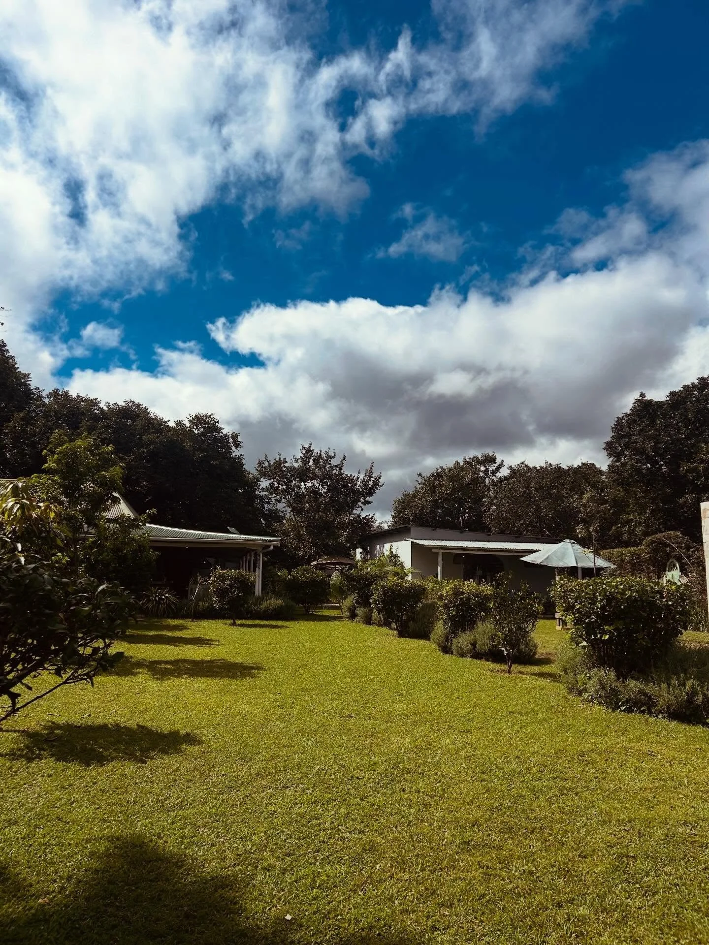 It&rsquo;s funny, when you think limited options would bring fatigue, it actually feels quite liberating. There are a handful of spots where you can grab a good coffee, a freshly baked something-something and let the kids have a run around. @sugarbus