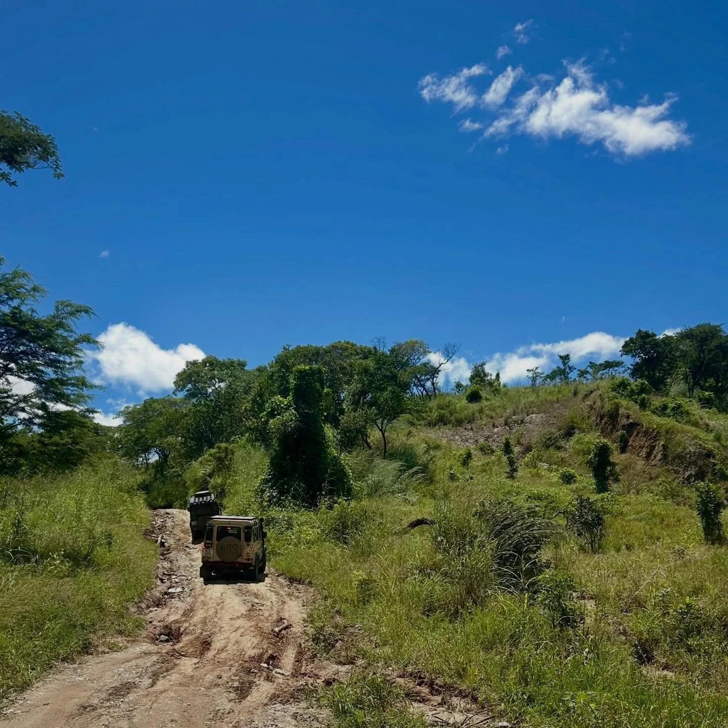 Off to THE river via the infamous Leopards Hill backroad&hellip;

All the need to know info is in the blog. Link in the bio.