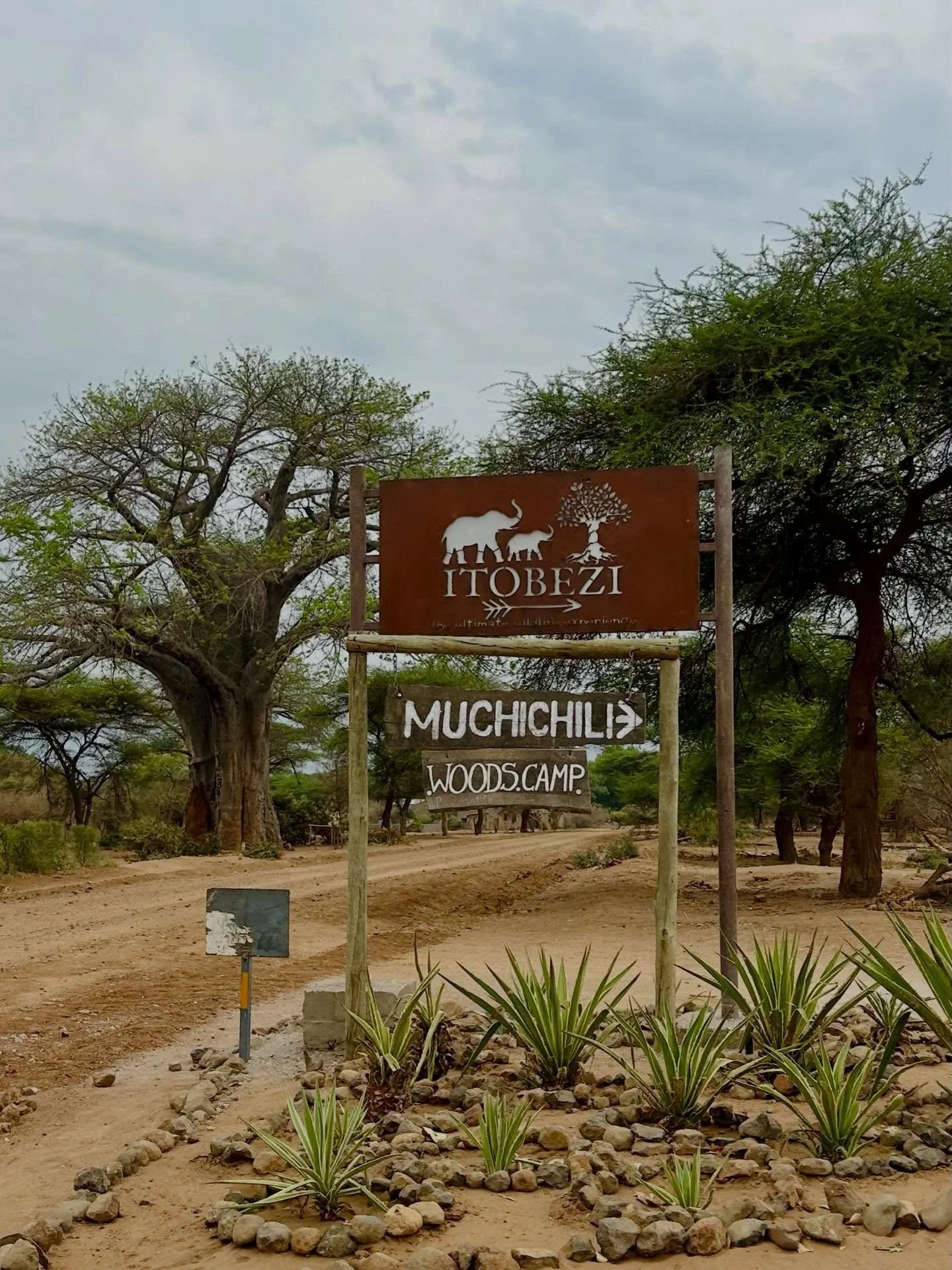 One our favourite spots on the river is @tsikaislandlz. You can park your vehicle at Woods Camp for a small fee per day and the team from Tsika will pick you up by boat. 

#zambia #lowerzambezi