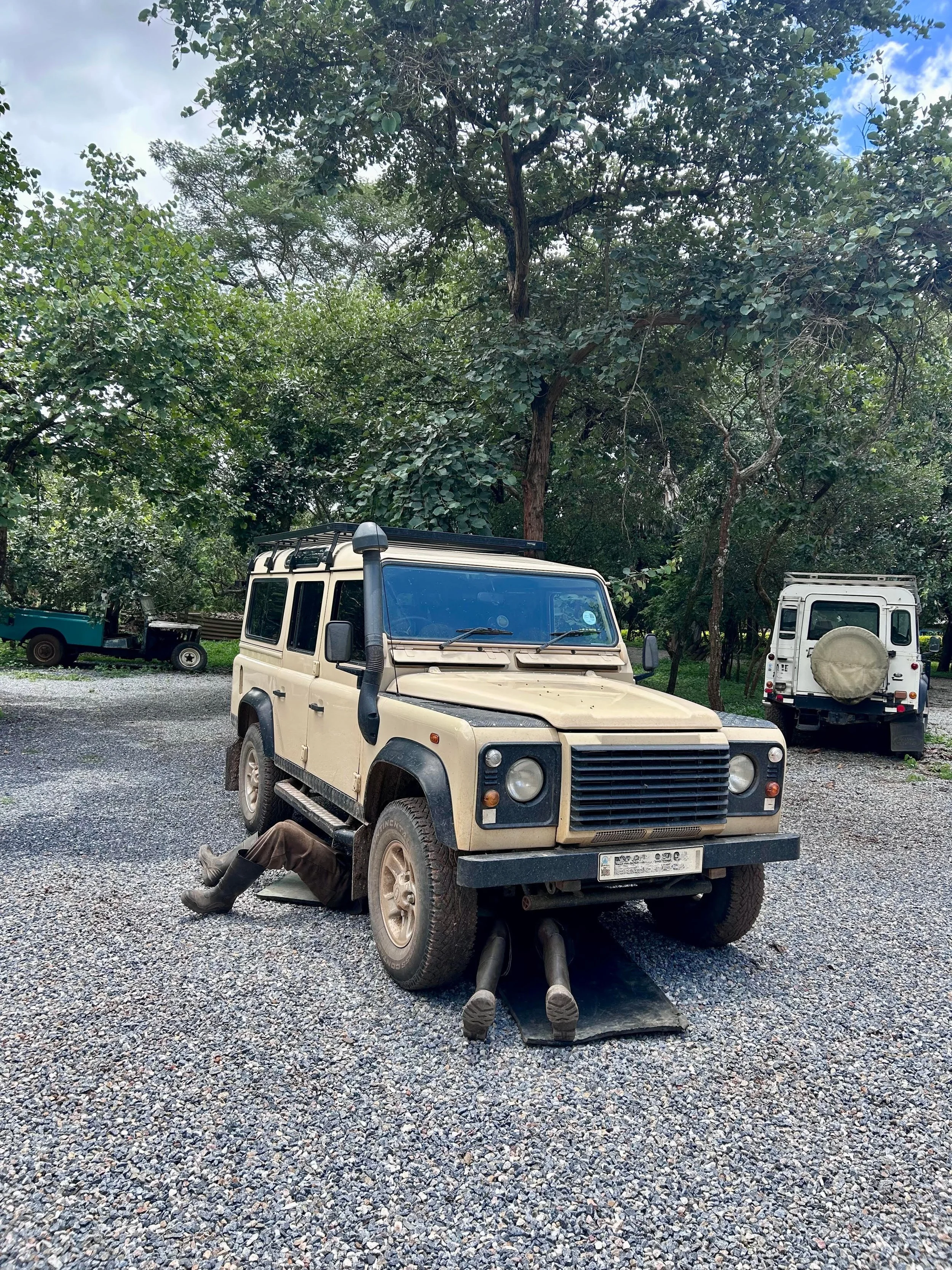 In the Company of the Defender