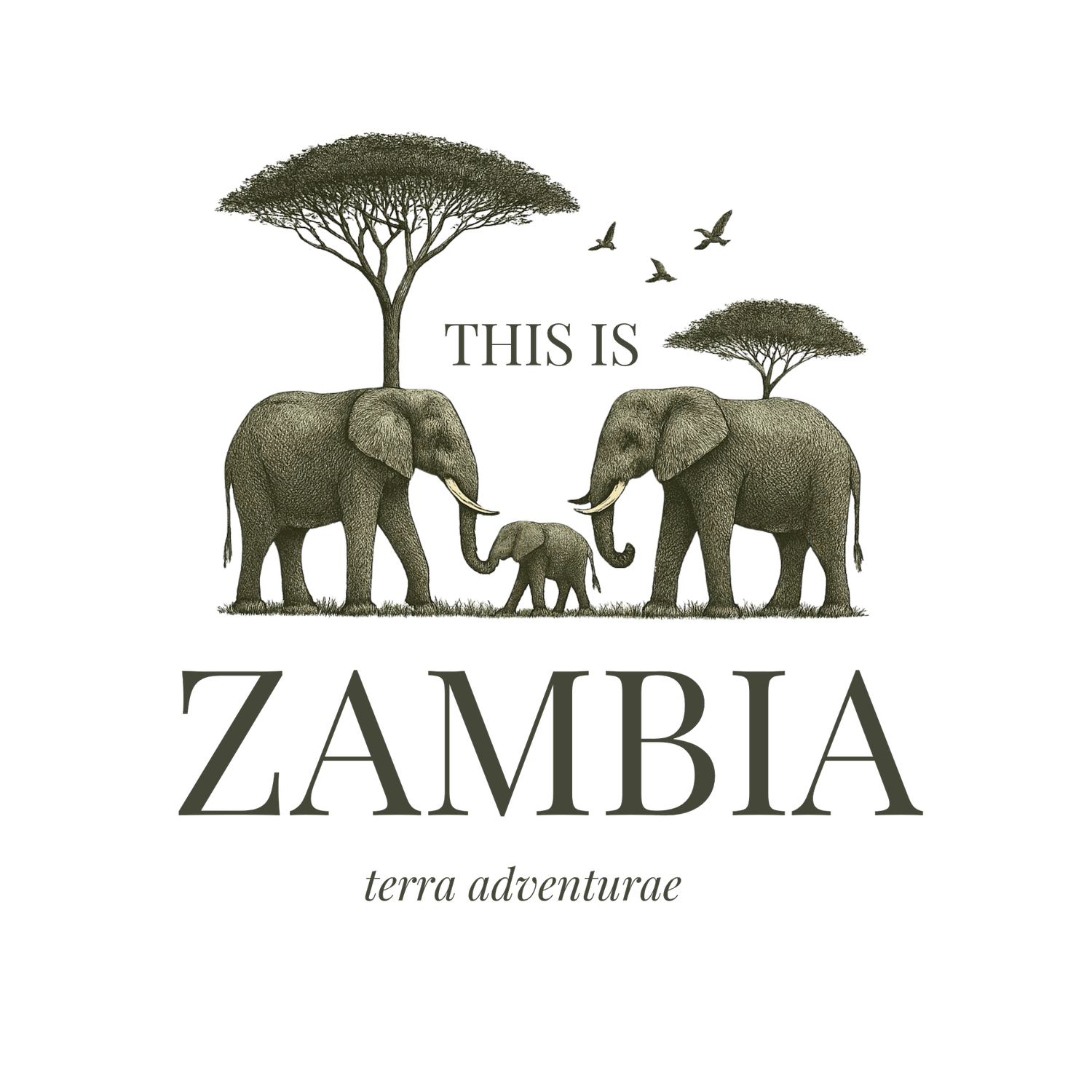 This is Zambia