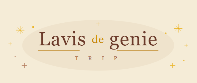 Lavisdegenie Trip