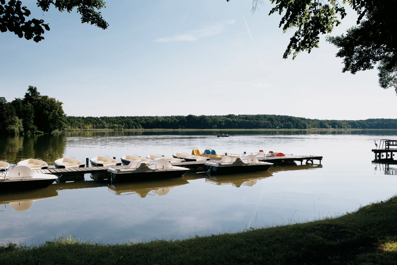 Entspanntes Wasserbild mit Paddelboote am ruhigen See, umgeben von Bäumen und einer klaren, blauen Himmel.