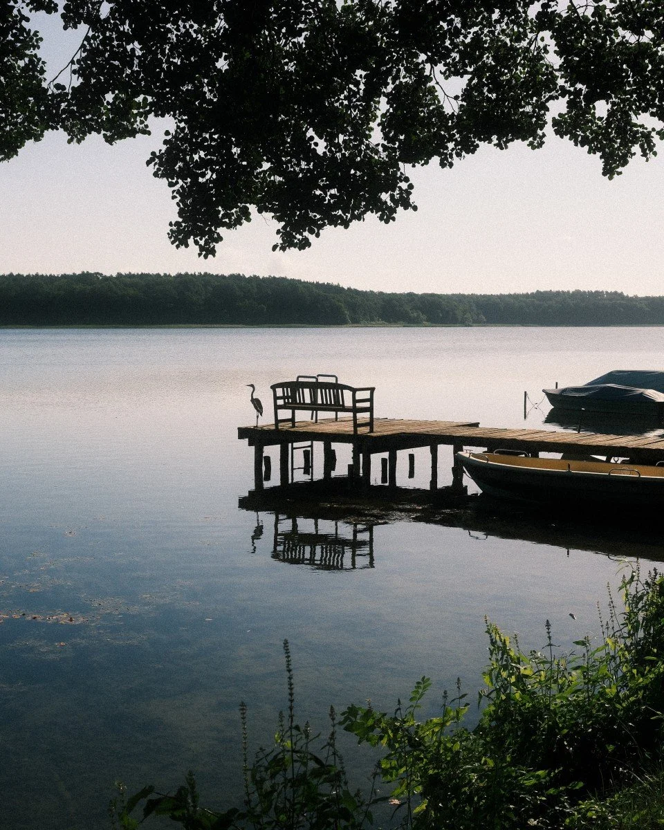 Ein Steg mit einem Holzbank, eine Möwe steht darauf, und Boote am Ufer eines ruhigen Sees, umgeben von Bäumen.