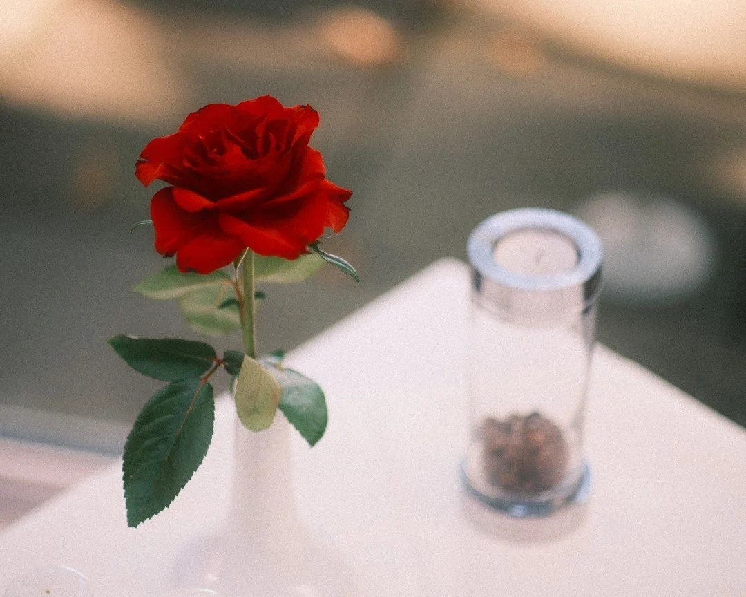 Rote Rose in einer weißen Vase neben einem Glas mit getrockneten Rosenblättern auf einem weißen Tisch.