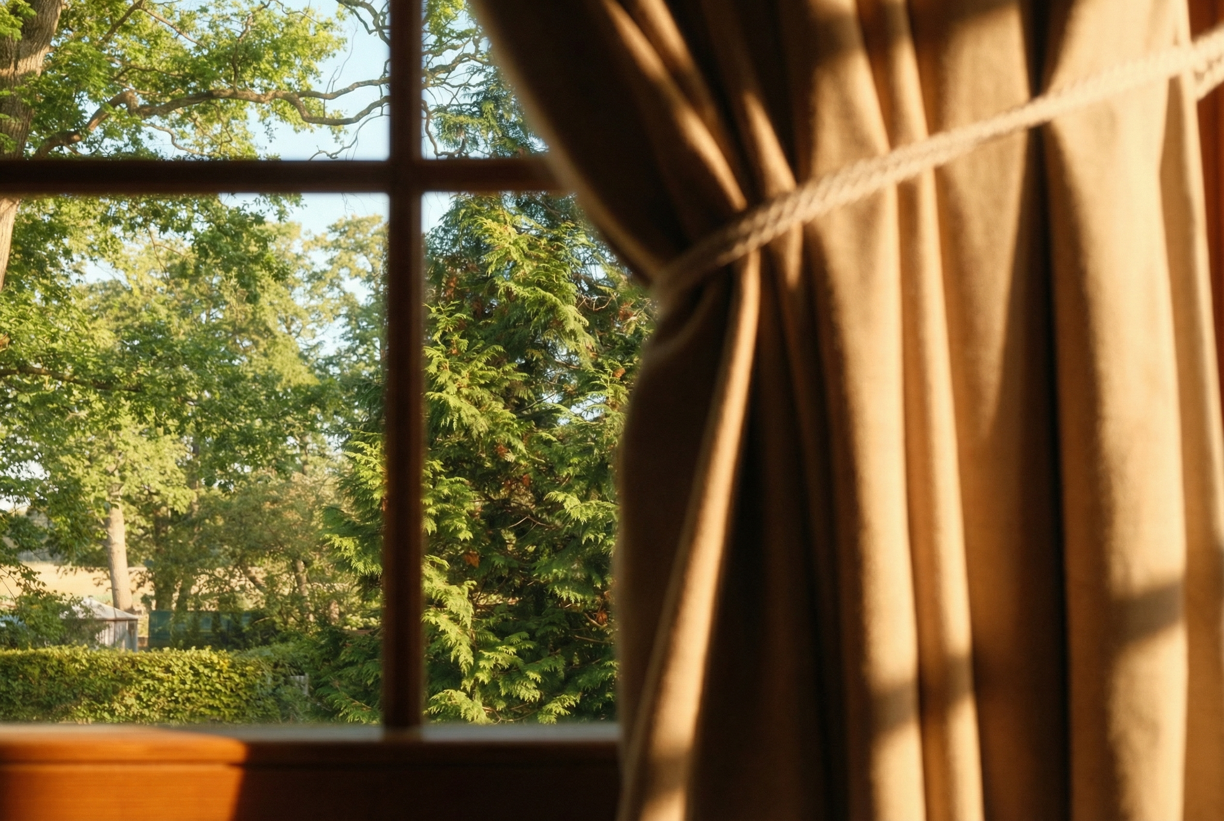 Blick aus einem Fenster auf grüne Bäume bei sonnigem Wetter, teilweise verdeckt durch eine Gardine an der rechten Seite.